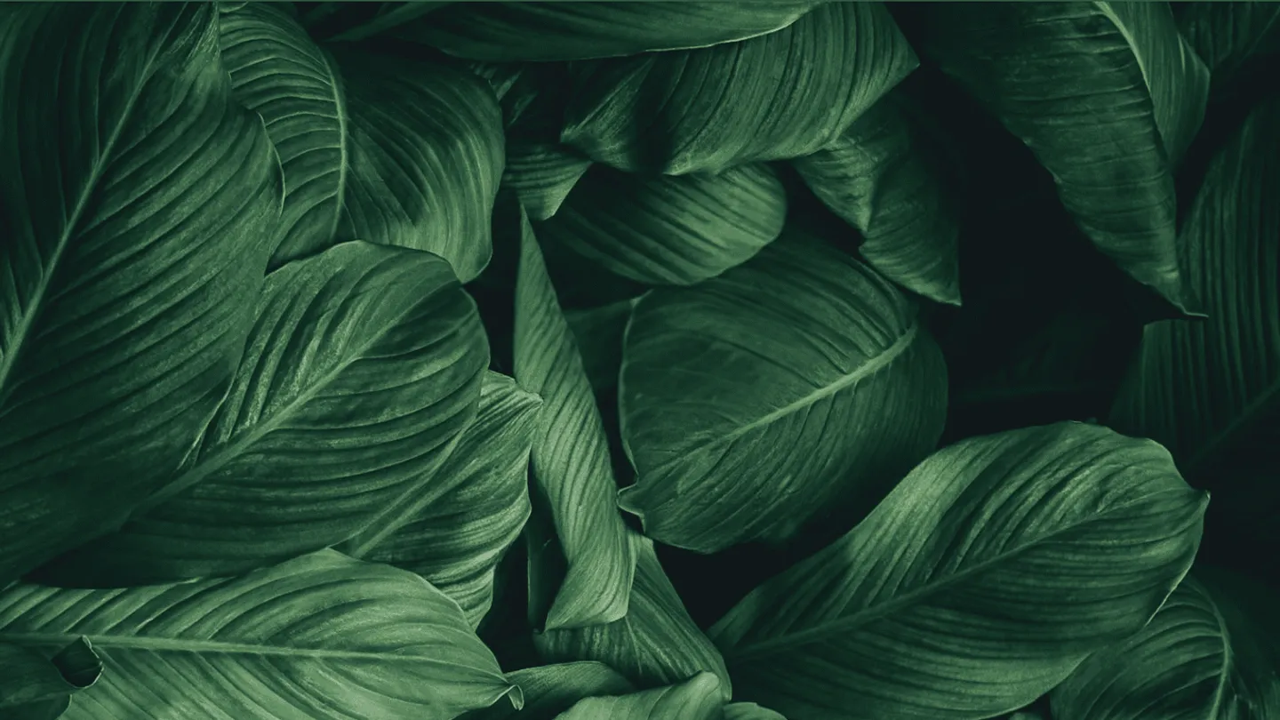 GreenHills Residence & Villa